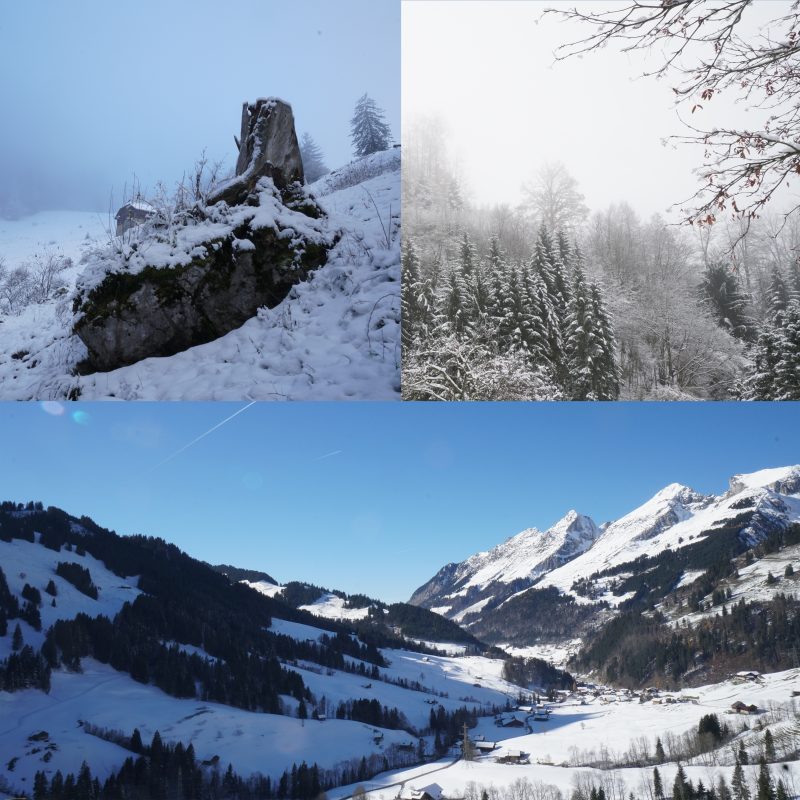 Snow and winter landscapes