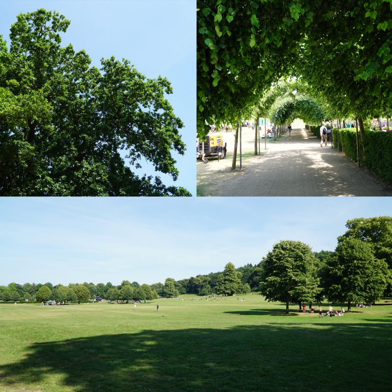 Parks and Vegetation